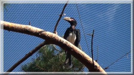Zoo und Safaripark Königinhof an der Elbe